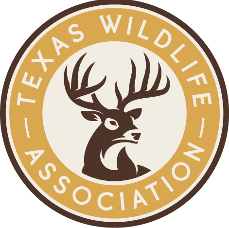 Texas Big Game Awards Celebration - August 5 Alpine - logo